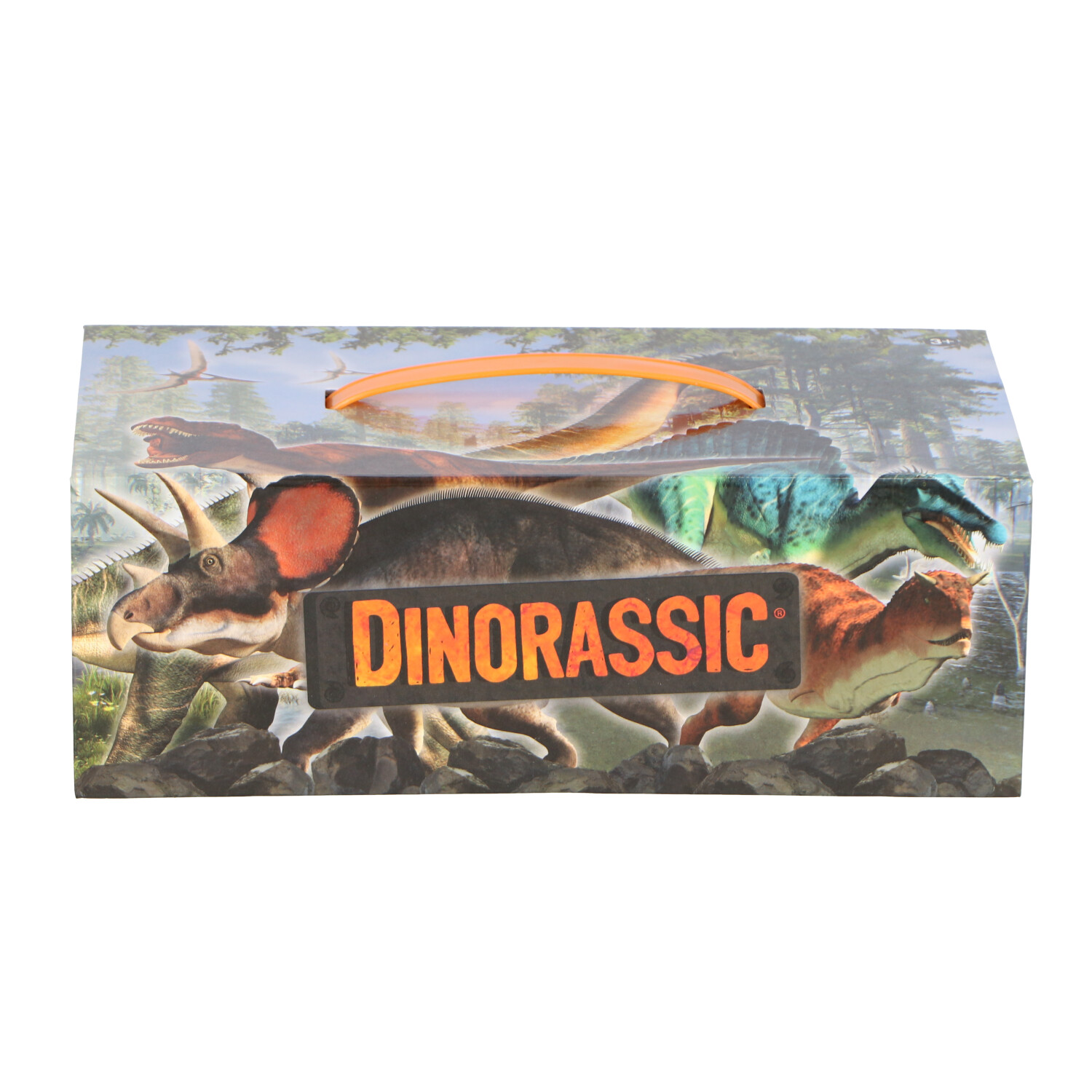 DR01002