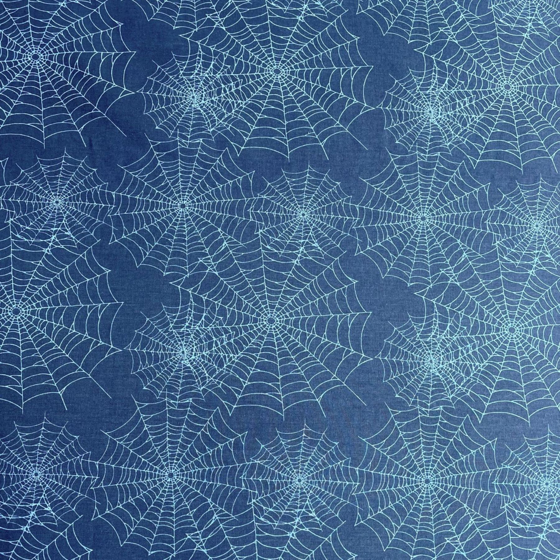23BS233