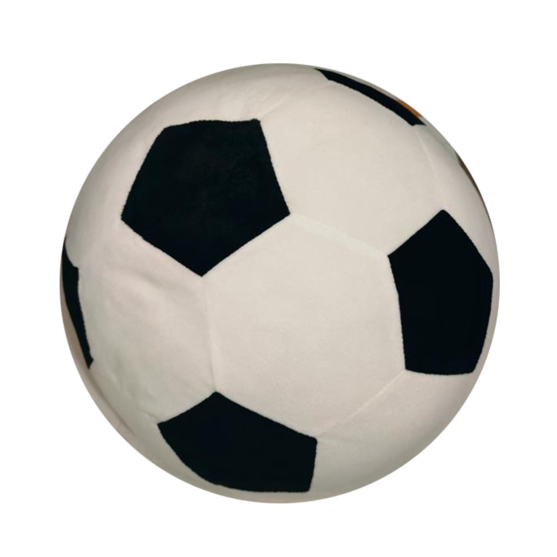 26SC096