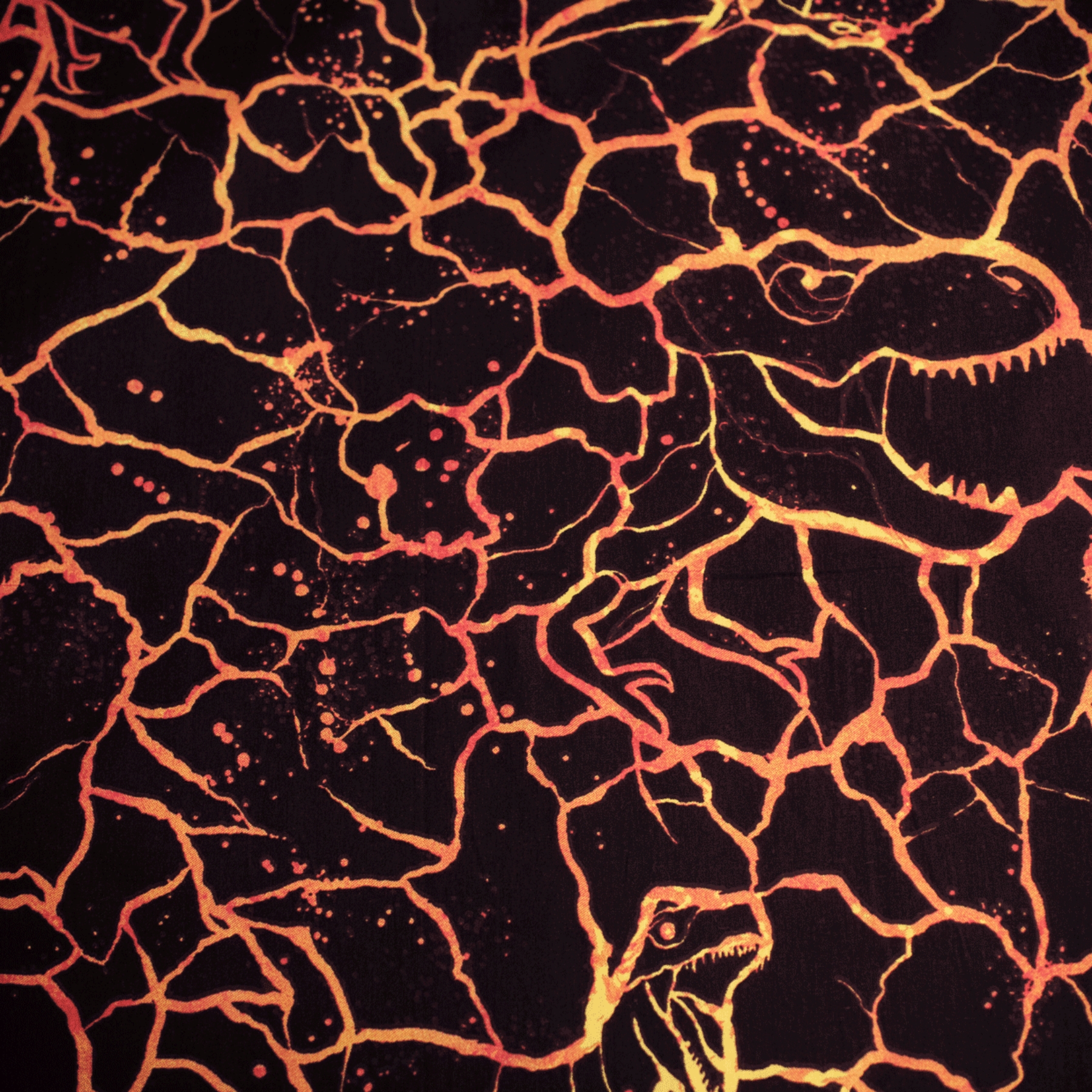 20BS324